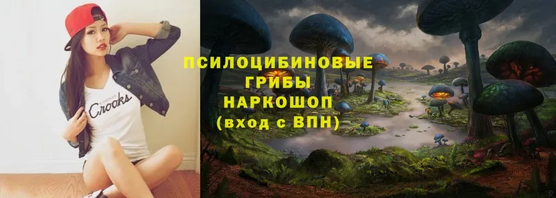 Псилоцибиновые грибы MAGIC MUSHROOMS  Алексин 